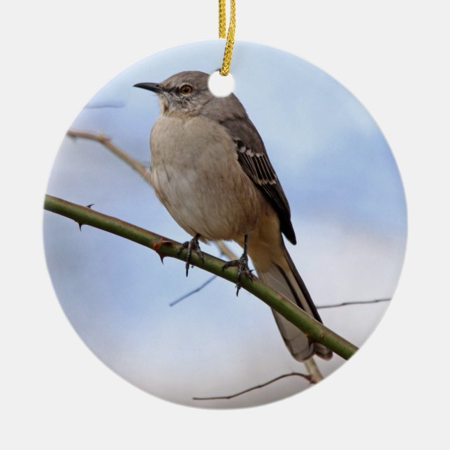Northern Mockingbird Ornament (Front)
