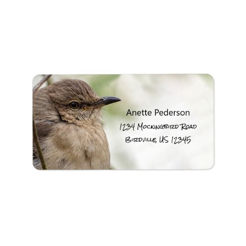 Northern Mockingbird Portrait Bird Photo Address Label