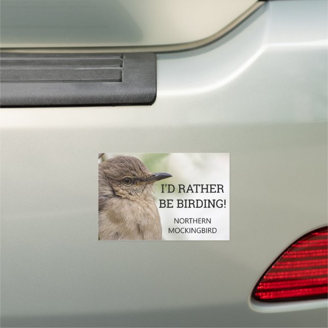 Northern Mockingbird Portrait Bird Photo Birding Car Magnet (In Situ)