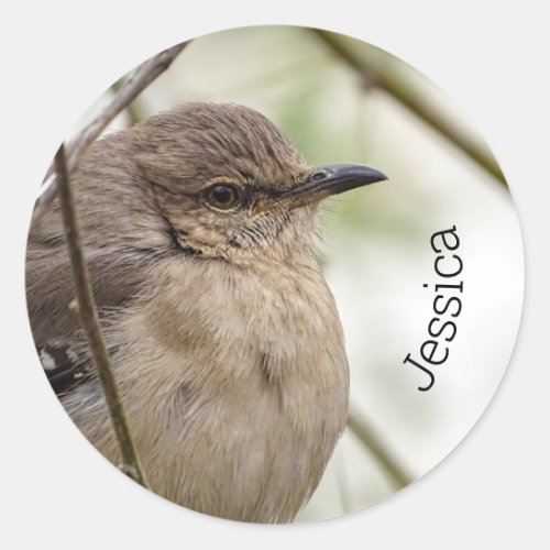 Northern Mockingbird Portrait Bird Photo Classic Round Sticker