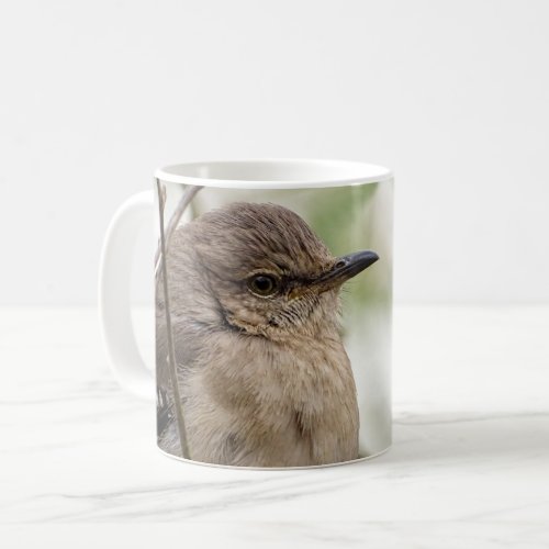 Northern Mockingbird Portrait Bird Photo Coffee Mug