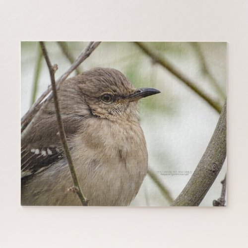 Northern Mockingbird Portrait Bird Photo Jigsaw Pu Jigsaw Puzzle