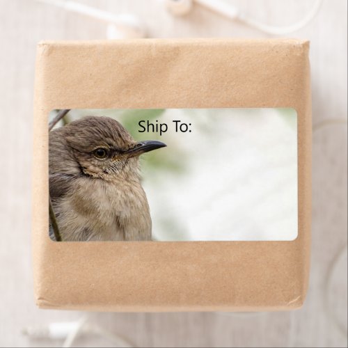 Northern Mockingbird Portrait Bird Photo Label