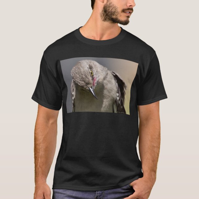 Northern Mockingbird takes a Bow Apparel & Gifts T-Shirt (Front)