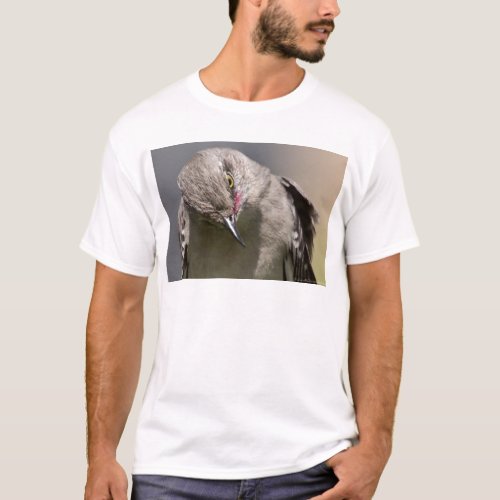 Northern Mockingbird takes a Bow Apparel  Gifts T_Shirt