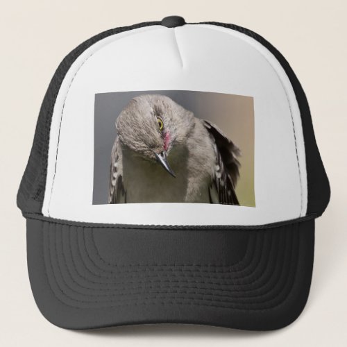 Northern Mockingbird takes a Bow Apparel  Gifts Trucker Hat
