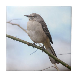 Northern Mockingbird Tile