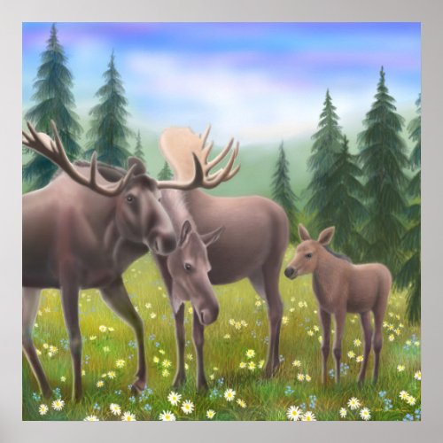 Northern Moose Family Poster