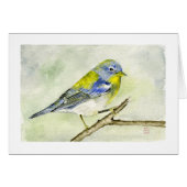 Northern Parula (Front Horizontal)