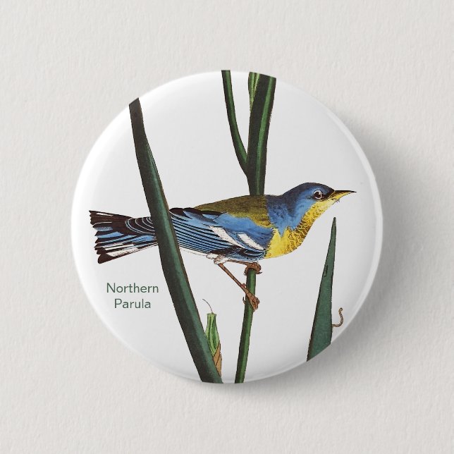 Northern Parula, Audubon, Birder Birdwatcher, Bird Button (Front)