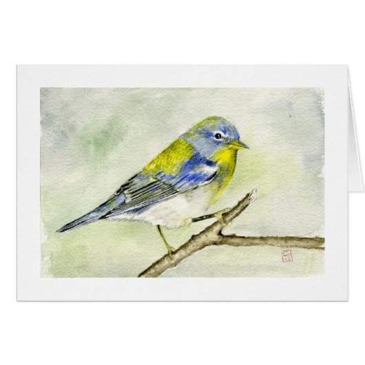Northern Parula Cards (Front Horizontal)