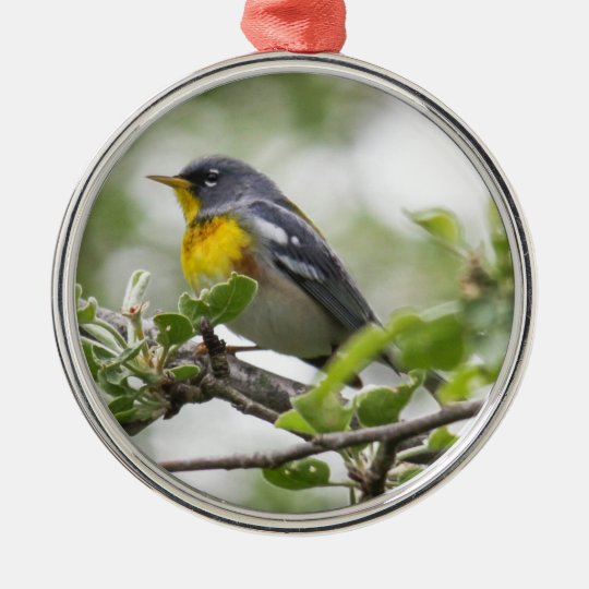 Northern Parula Metal Ornament