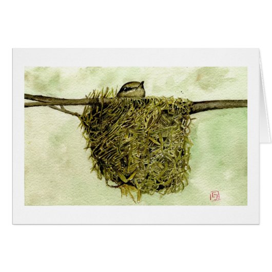 Northern Parula Nest Cards (Front Horizontal)
