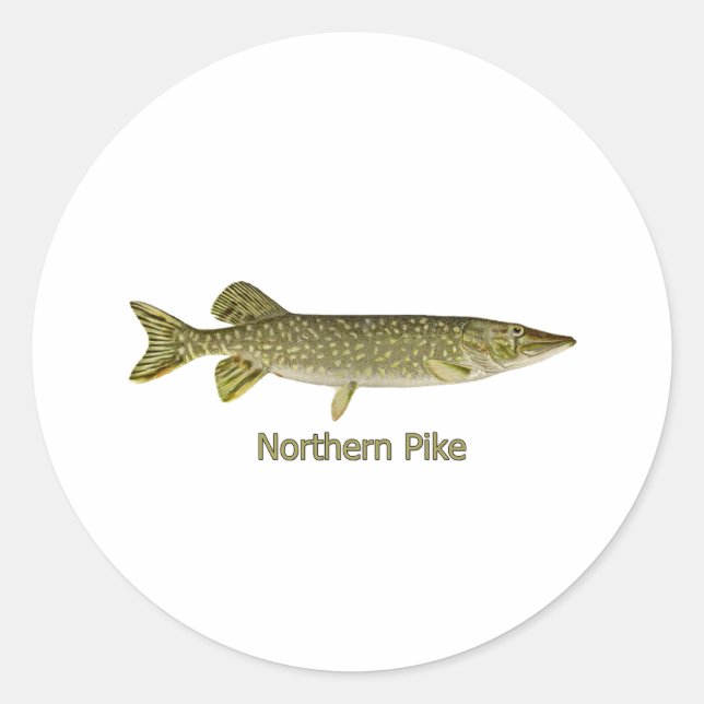 Northern Pike Art (titled) Classic Round Sticker (Front)