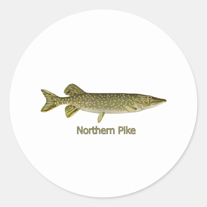 Northern Pike Art (titled) Sticker