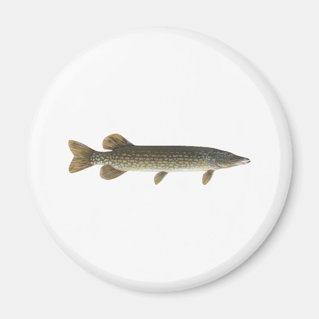 Northern Pike Magnet (Front)