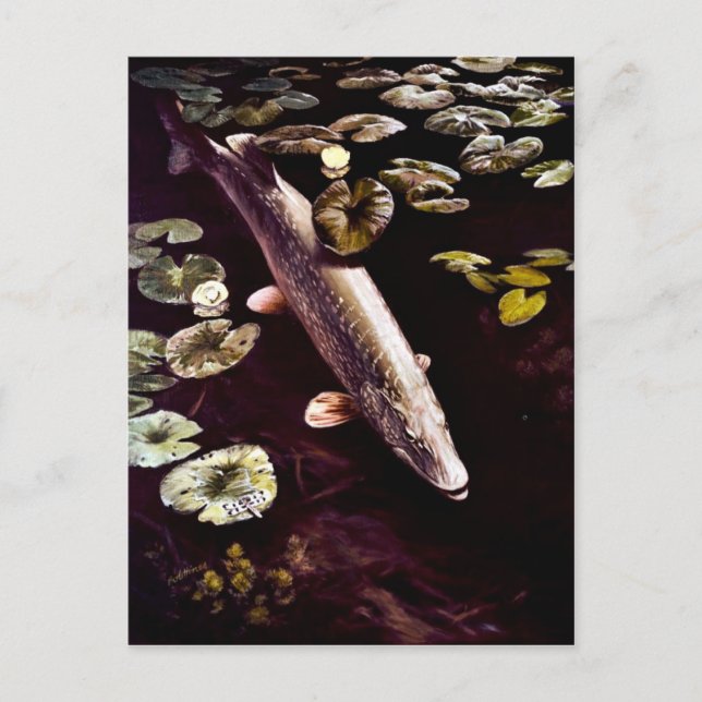 Northern Pike Postcard (Front)