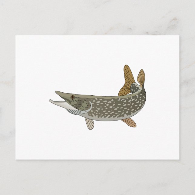 NORTHERN PIKE POSTCARD (Front)