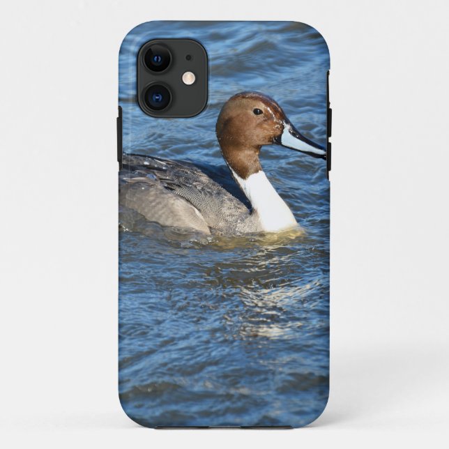 Northern Pintail Duck Case-Mate iPhone Case (Back)