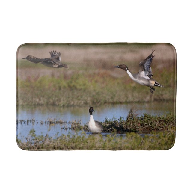 Northern Pintail Duck Flying Bathroom Mat (Front)