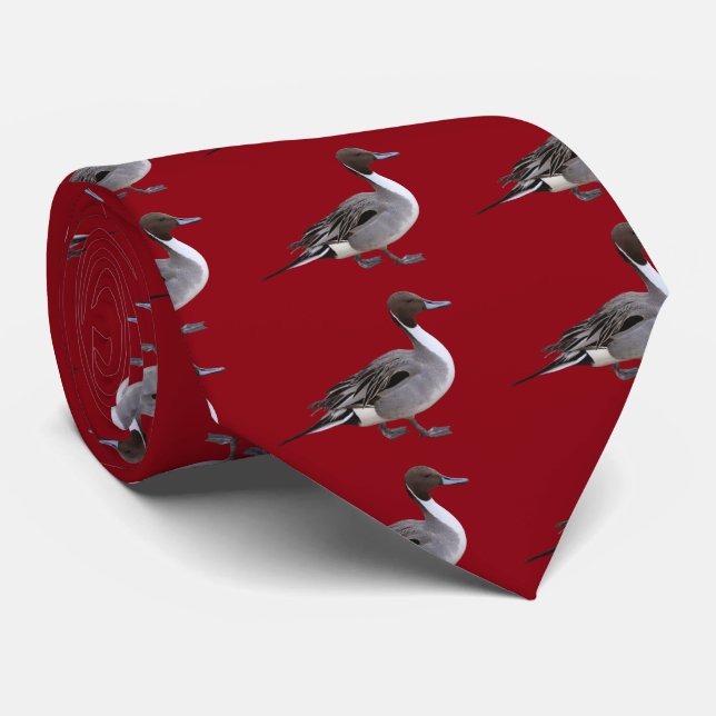 Northern Pintail Tie (Rolled)