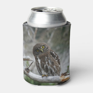 Northern Pygmy Owl Can Cooler