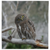 Northern Pygmy Owl Cloth Napkin