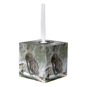 Northern Pygmy Owl Cube Ornament
