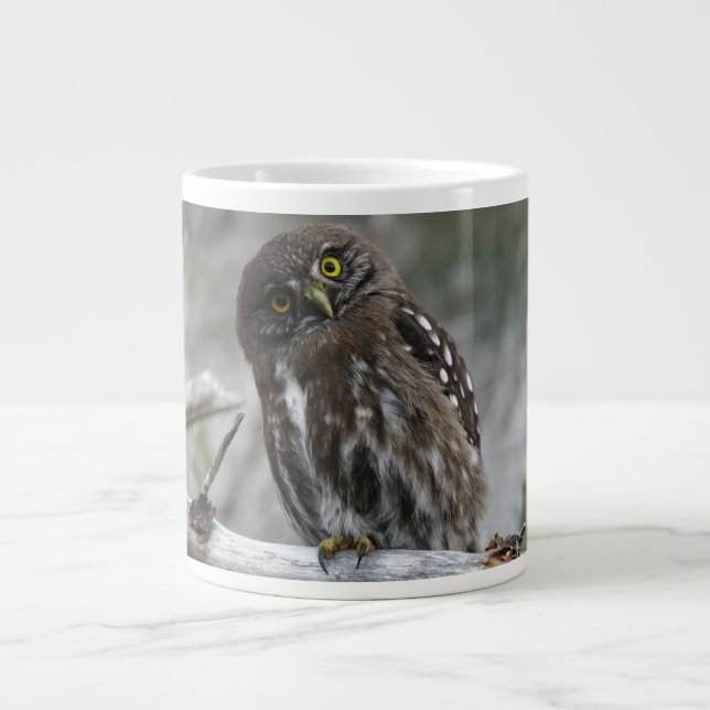 Northern Pygmy Owl  Giant Coffee Mug (Front)