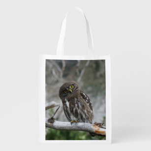 Northern Pygmy Owl Grocery Bag