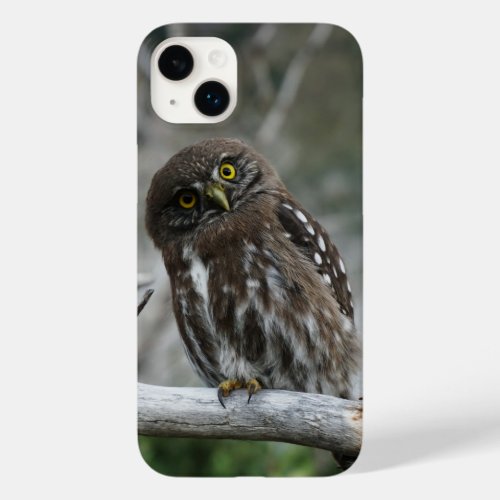 Northern Pygmy Owl iPhone 14 Plus Case