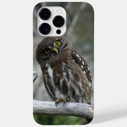 Northern Pygmy Owl iPhone 14 Pro Max Case