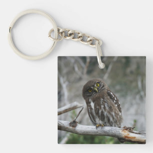 Northern Pygmy Owl Keychain