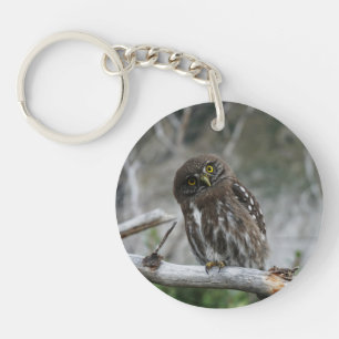 Northern Pygmy Owl Keychain