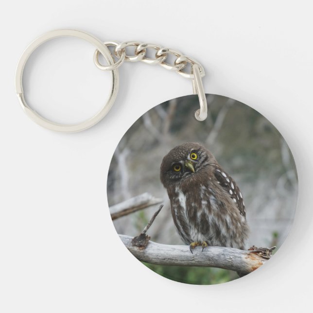 Northern Pygmy Owl Keychain (Front)