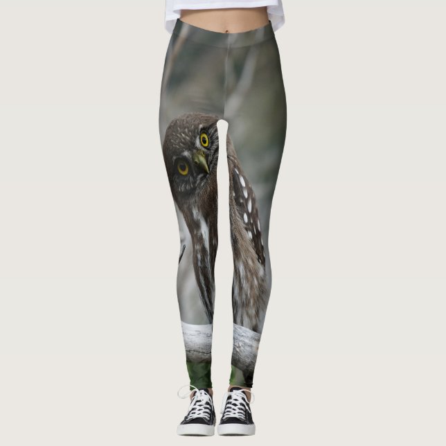 Northern Pygmy Owl Leggings (Front)