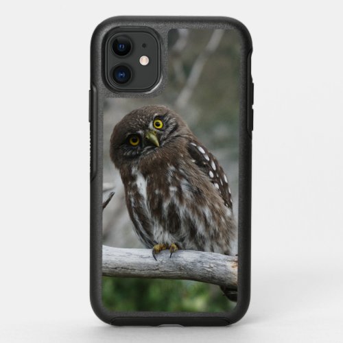 Northern Pygmy Owl OtterBox Symmetry iPhone 11 Case