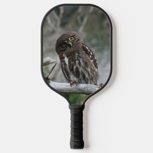 Northern Pygmy Owl Pickleball Paddle