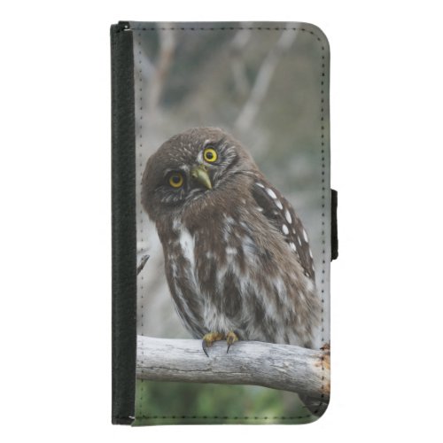 Northern Pygmy Owl Samsung Galaxy S5 Wallet Case