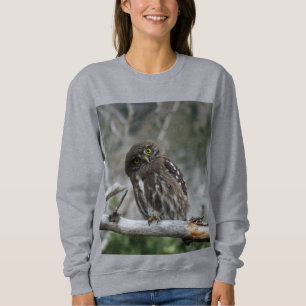Northern Pygmy Owl Sweatshirt