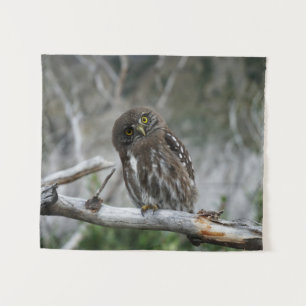 Northern Pygmy Owl Tapestry