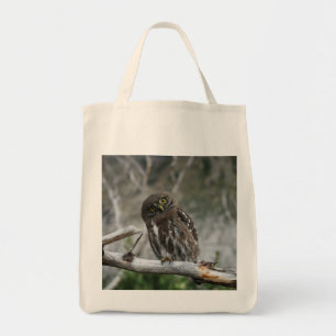 Northern Pygmy Owl Tote Bag