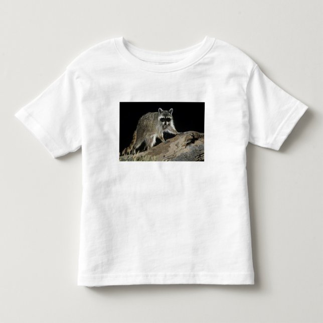 Northern Raccoon, Procyon lotor Toddler T-shirt (Front)