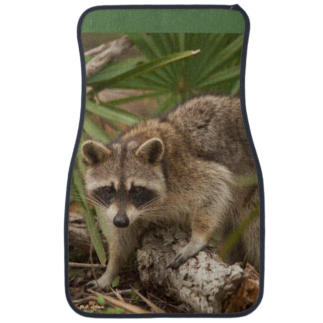 Northern Raccoon Stepping Car Floor Matt Mat (Front)