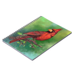 Northern Red Cardinal Bird Notebook 