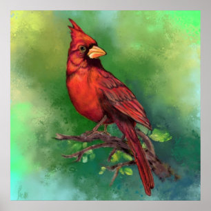Northern Red Cardinal Bird Poster - Painting