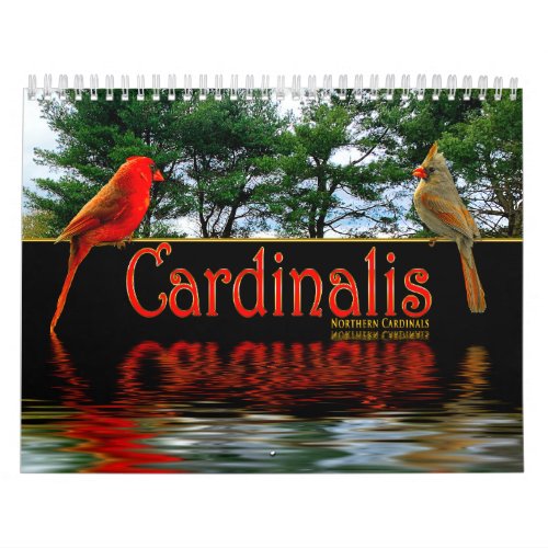 Northern Red Cardinals Cardinalis Beautiful Photos Calendar