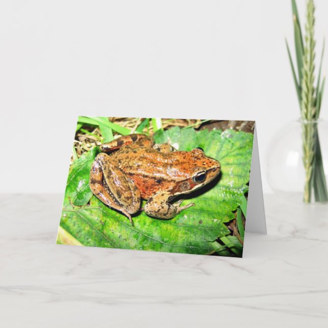 Northern Red legged frog Card (Front)