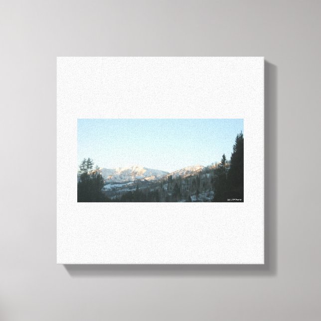 Northern Rocky Mountain Forest Canvas Print (Front)
