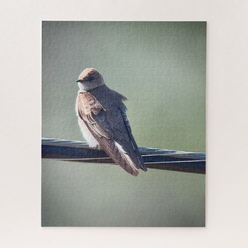 Northern Rough_winged Swallow Jigsaw Puzzle